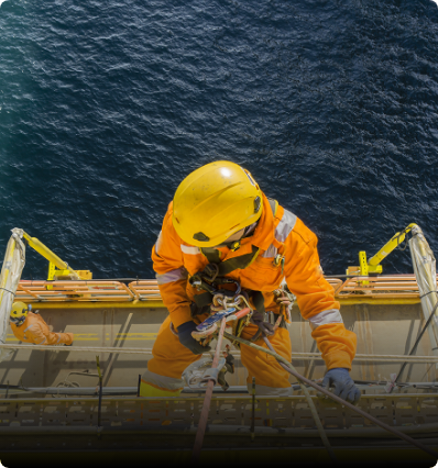 Optimized Maintenance Programs